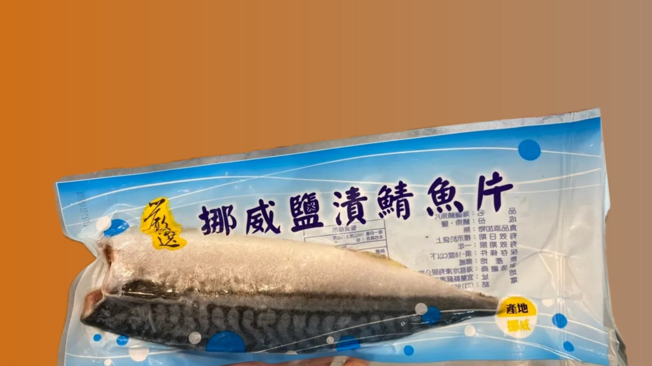 鯖魚